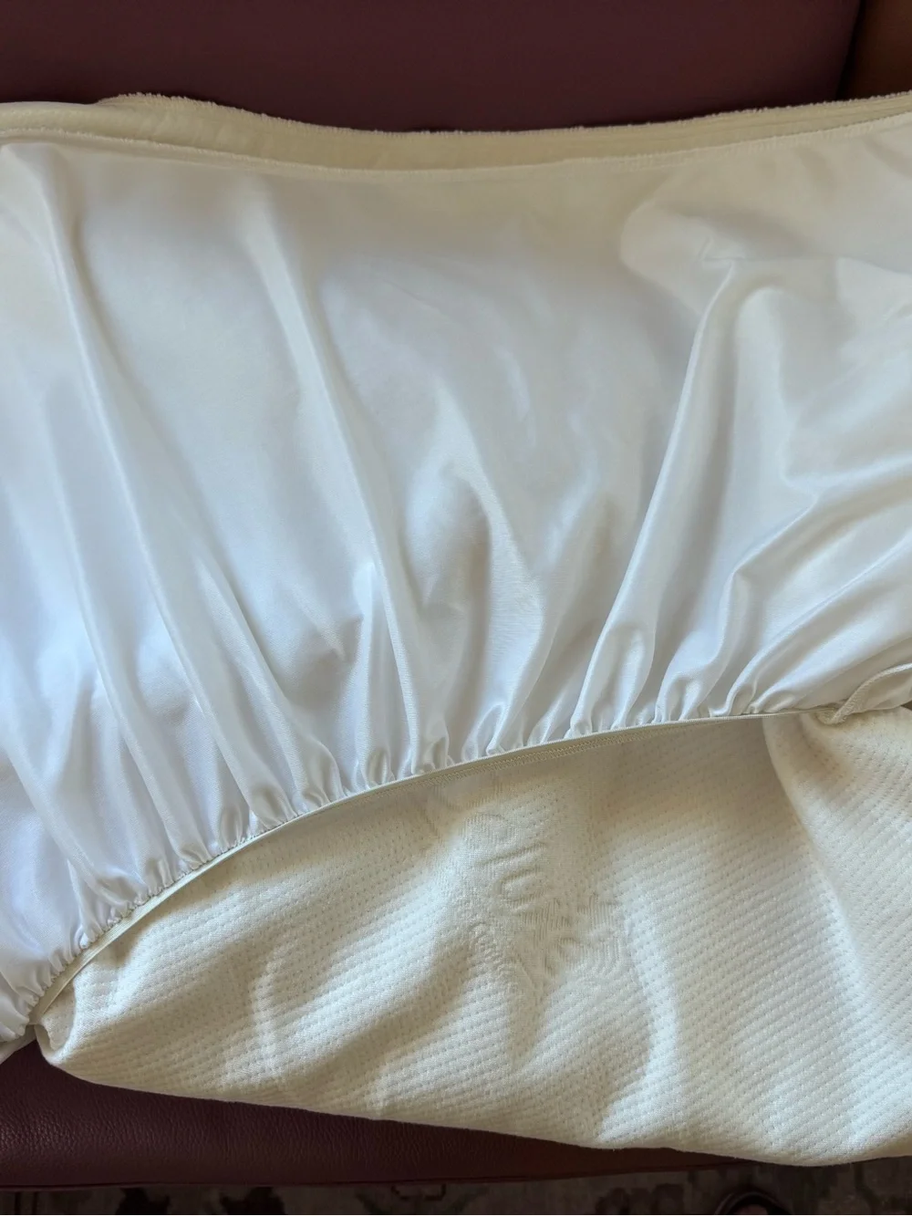 PlushDeluxe 100% Bamboo Queen Mattress Cover